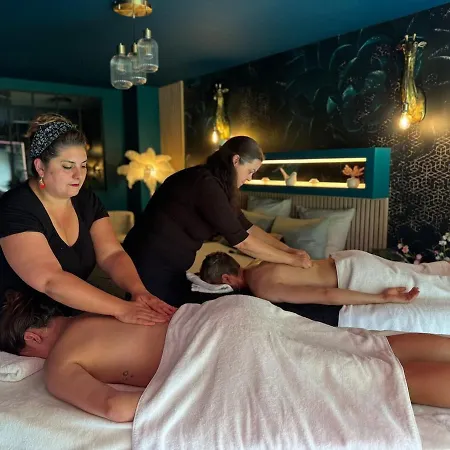 Flower & Spa, Air-conditioned And Appartement La Seyne-sur-Mer